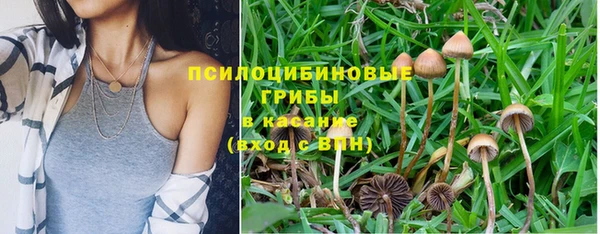 каннабис Алзамай