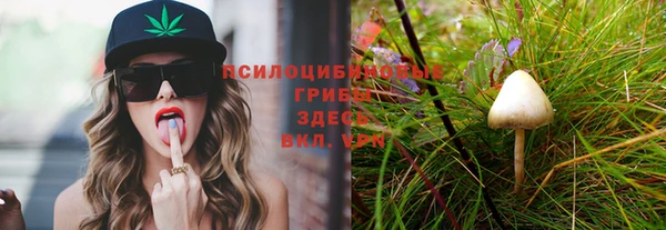 каннабис Алзамай