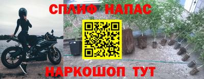 гашиш Апшеронск