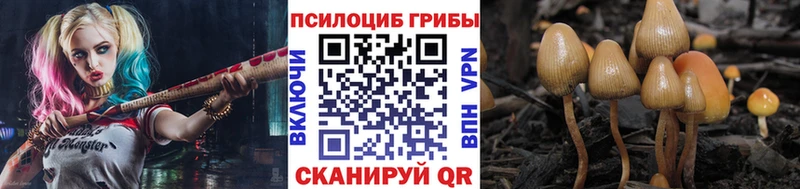 kraken рабочий сайт  закладка  Борзя  Галлюциногенные грибы ЛСД 