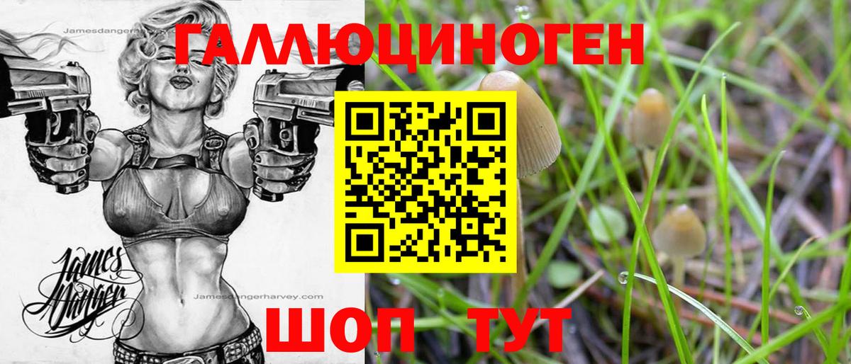 Галлюциногенные грибы мицелий Борзя