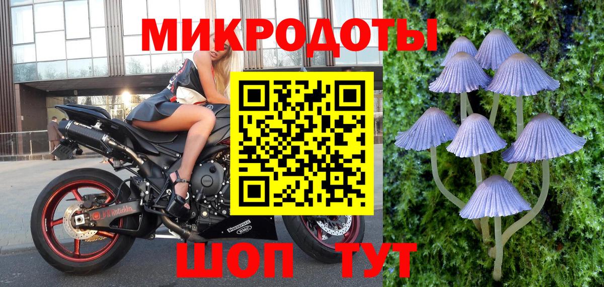 Псилоцибиновые грибы Psilocybe  Галлюциногенные грибы MAGIC MUSHROOMS  Борзя  Вход с VPN 