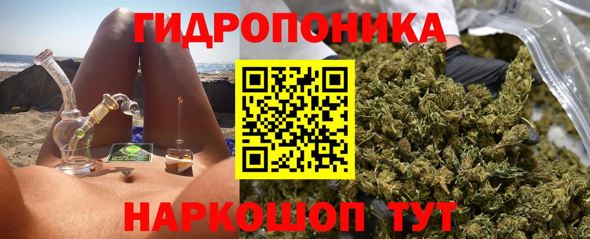 Конопля AK-47 Борзя